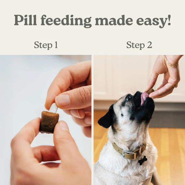 Earthly Pill Buddy Naturals Pill Hiding Treat for Dogs; Grilled Duck Recipe - Image 6