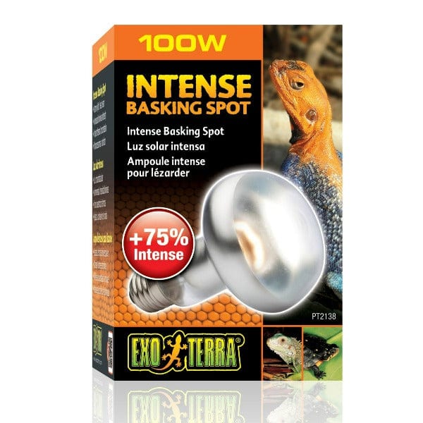 Exo Terra Intense Basking Spot Lamp - Image 3