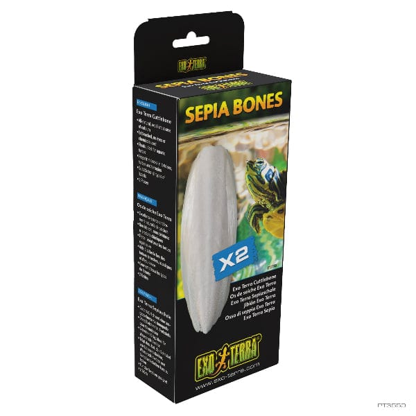 Exo Terra Sepia Bone for Turtles - Image 3