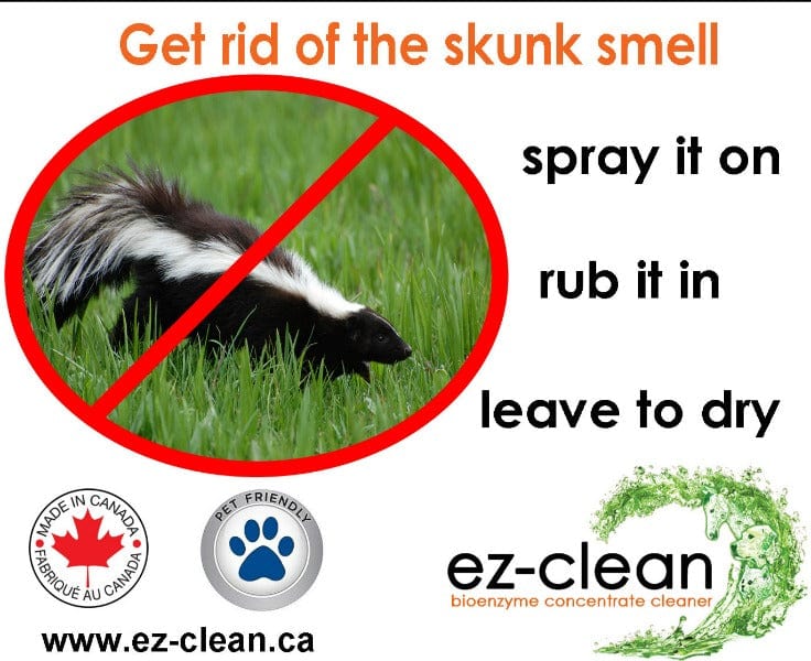 Ez-Clean Bioenzyme Cleaner - Image 4