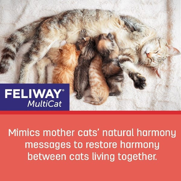 FELIWAY FRIENDS Diffuser Kit for Cats - Image 5
