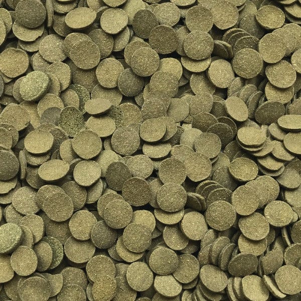 Fluval Bug Bites Algae Crisps - Image 2