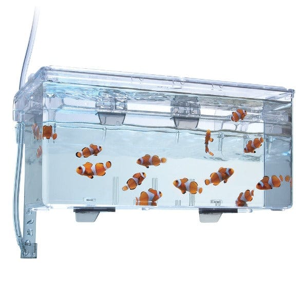 Fluval Multi-Chamber Holding & Breeding Box - Image 2
