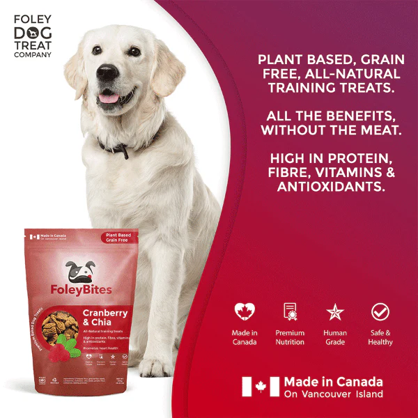Foley Bites Cranberry & Chia Premium Baked Dog Treats - Image 5