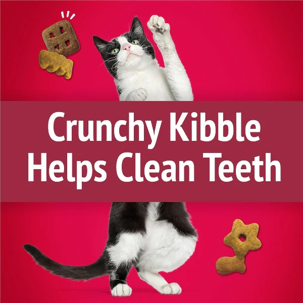 Friskies Party Mix Mixed Grill Crunch Cat Treats - Image 3
