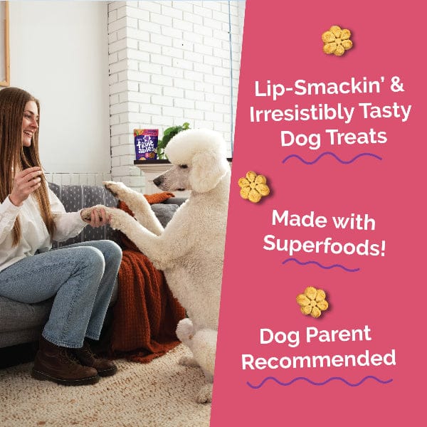 Fruitables Baked Pumpkin & Apple Dog Treats - Image 3