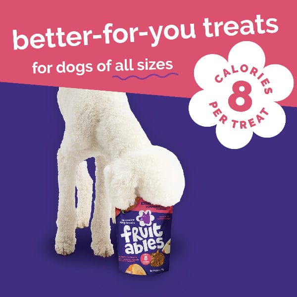 Fruitables Baked Pumpkin & Apple Dog Treats - Image 6