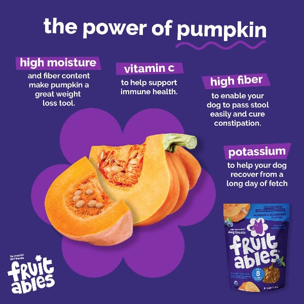 Fruitables Baked Pumpkin & Apple Dog Treats - Image 9