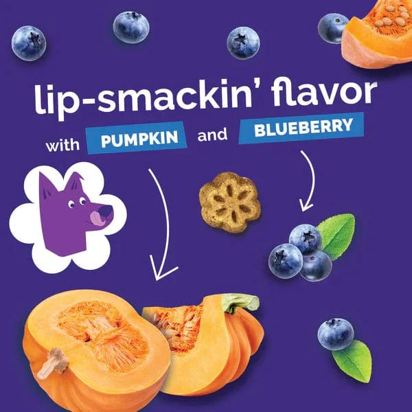 Fruitables Skinny Minis Pumpkin & Berry Flavor Dog Treats - Image 7