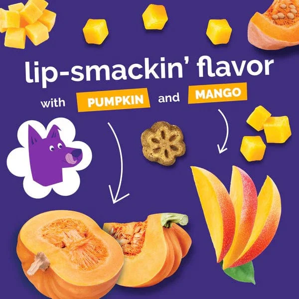 Fruitables Skinny Minis Pumpkin & Mango Flavor Dog Treats - Image 6