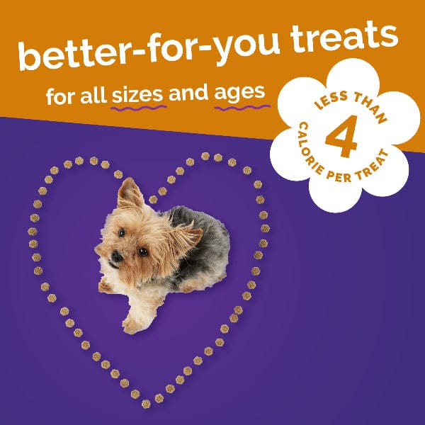 Fruitables Skinny Minis Rotisserie Chicken Dog Treats - Image 6
