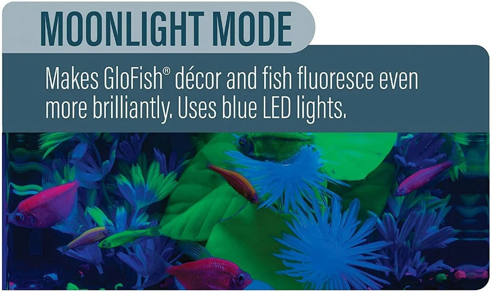 GloFish Color-Changing Cycle LED Light - Image 5
