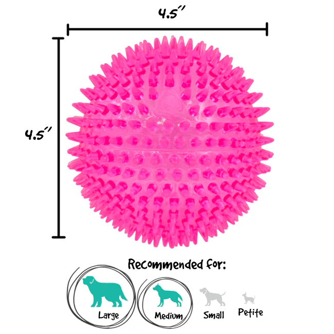 Gnawsome Extra Large Squeaker Ball - Image 3
