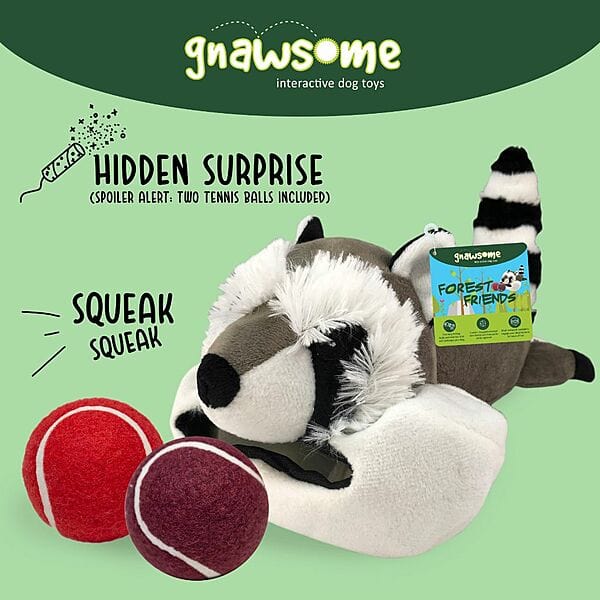 Gnawsome Forest Friends; Large Raccoon