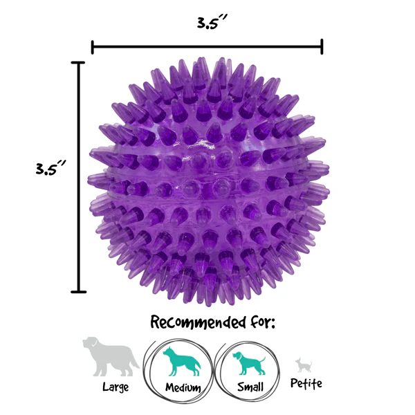 Gnawsome Medium Squeaker Ball - Image 3