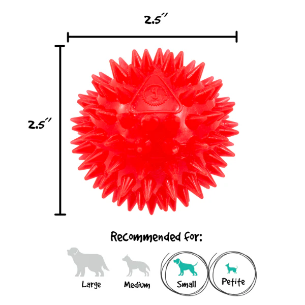Gnawsome Small Squeak and Light Ball - Image 3