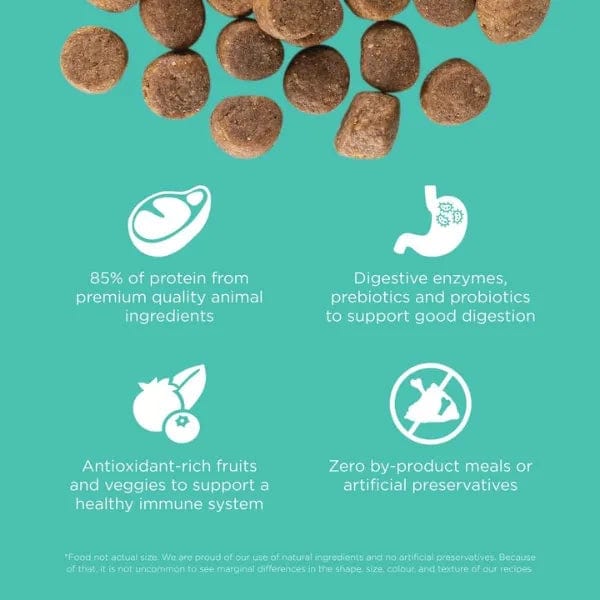 Go! Solutions Carnivore Grain-Free Chicken, Turkey & Duck Recipe Dry Dog Food - Image 2