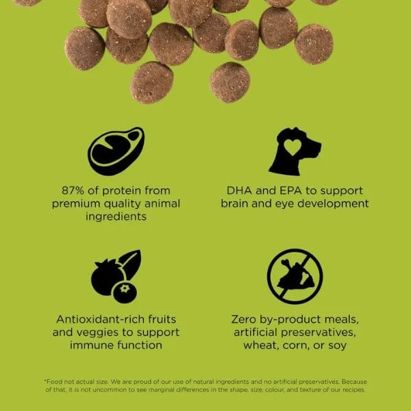 Go! Solutions Carnivore Grain-Free Chicken, Turkey & Duck Recipe Dry Puppy Food, 12lb - Image 2