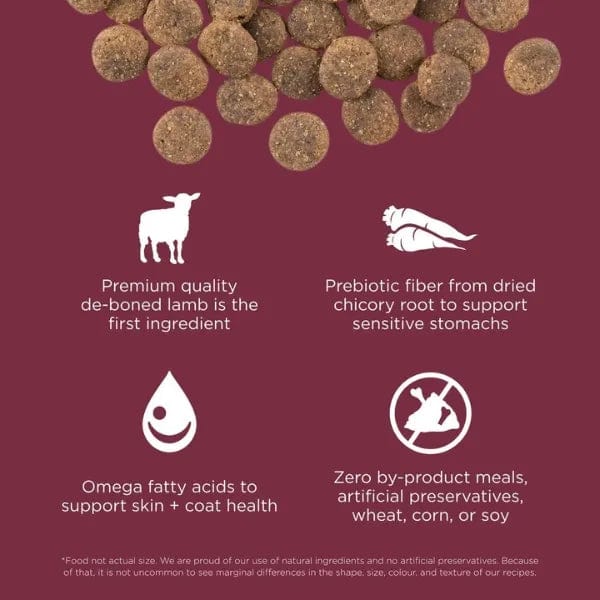 Go! Solutions Sensitivities Limited Ingredient Grain Free Lamb Recipe Dry Dog Food - Image 2