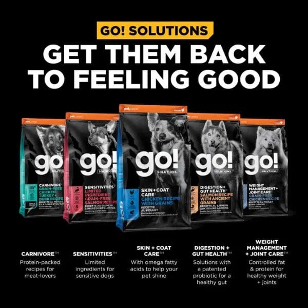 Go! Solutions Skin & Coat Care Chicken Recipe with Grains Dry Dog Food - Image 6