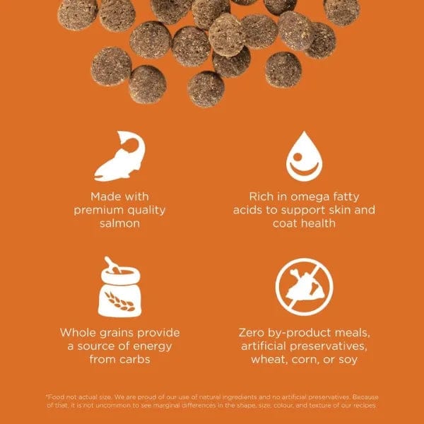 Go! Solutions Skin & Coat Care Salmon Recipe with Grains Dry Dog Food - Image 2