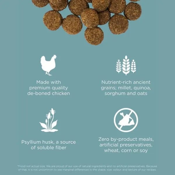 Go! Solutions Digestion + Gut Health, Chicken Recipe with Ancient Grains Dry Dog Food - Image 2