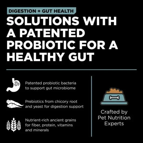 Go! Solutions Digestion + Gut Health, Chicken Recipe with Ancient Grains Dry Dog Food - Image 3