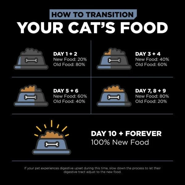 Go! Solutions Weight Management + Joint Care, Grain-Free Chicken Recipe Dry Cat Food, 8 lb - Image 4