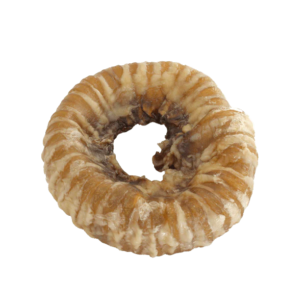 Golden Bridge Trachea Ring