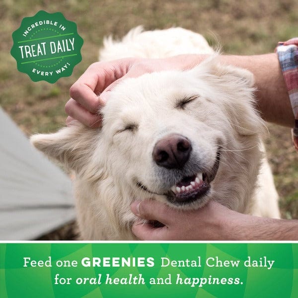 Greenies Original Petite Dog Dental Treats - Image 6