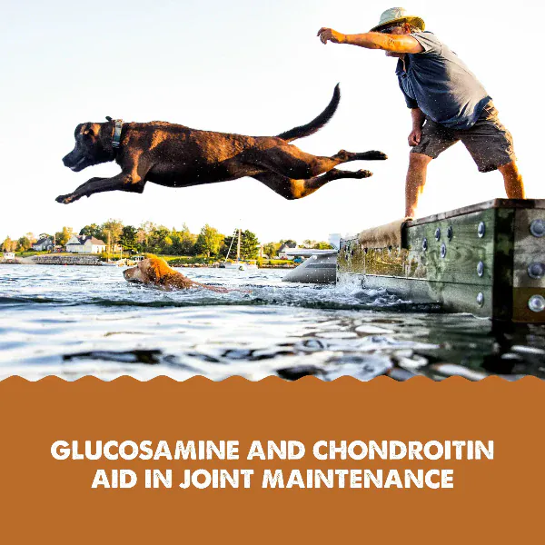 Grizzly Hip & Joint Supplement For Dogs & Cats - Image 2