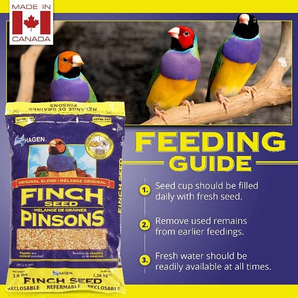 Hagen Finch Staple VME Seed - Image 4