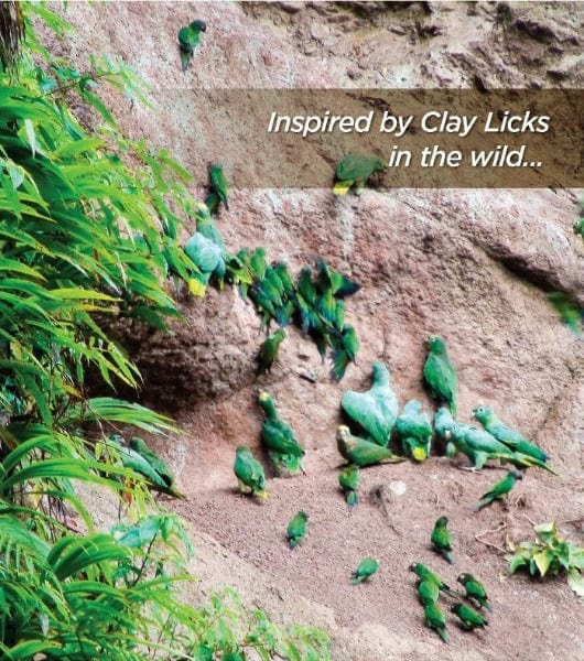 Hari Clay-Cal for Birds - Image 3