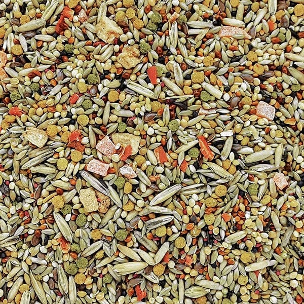 HARI Gourmet Premium Seed Mix for Budgies, 1kg - Image 3