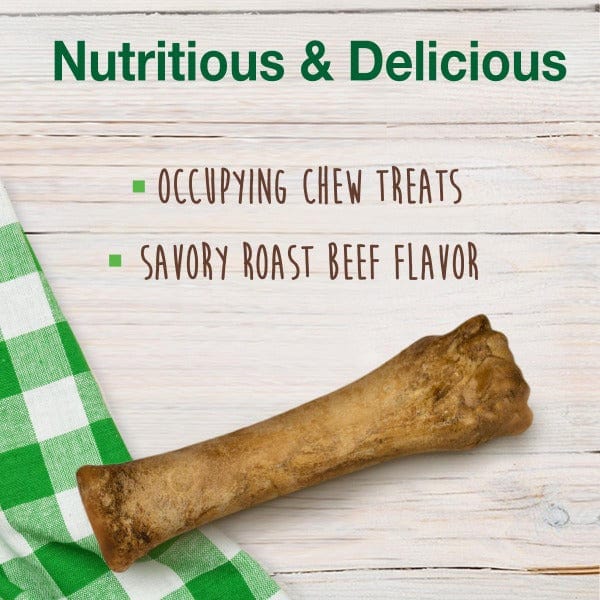 Nylabone Healthy Edibles Roast Beef Souper Chew - Image 2