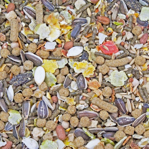Higgins Sunburst Gourmet Blend Hamster & Gerbil Food - Image 2