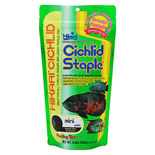 Hikari Cichlid Staple Floating Pellet