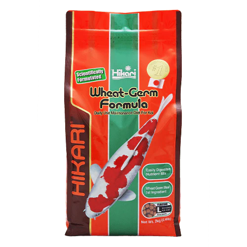 Hikari Koi Wheat Germ Floating Pellet - Image 5
