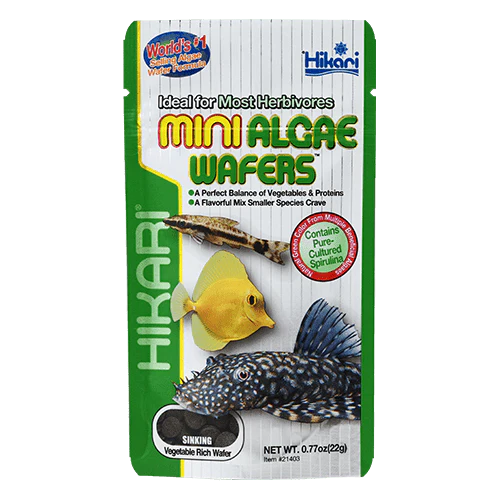 Hikari Tropical Mini Algae Wafers