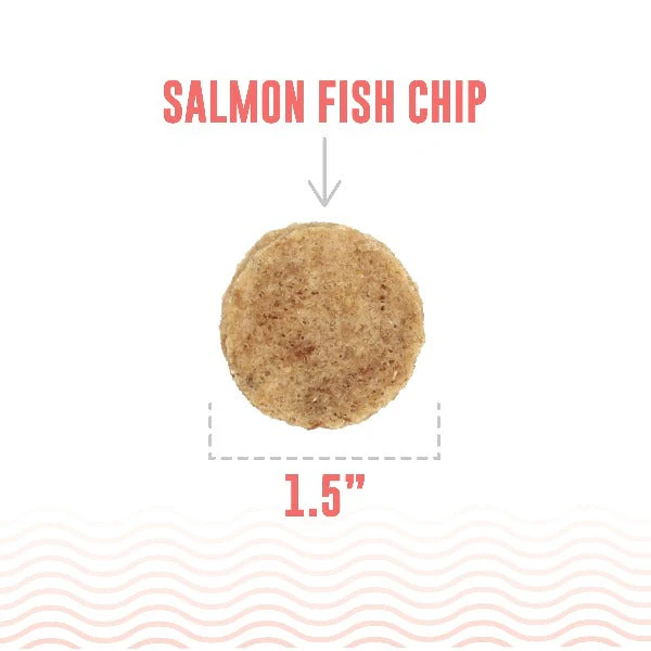Icelandic+ Salmon Fish Chips Dog Treats (SPECIAL ORDER ITEM) - Image 4