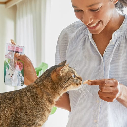 Inaba Grilled Chicken in Chicken Flavoured Broth Cat Treat - Image 4