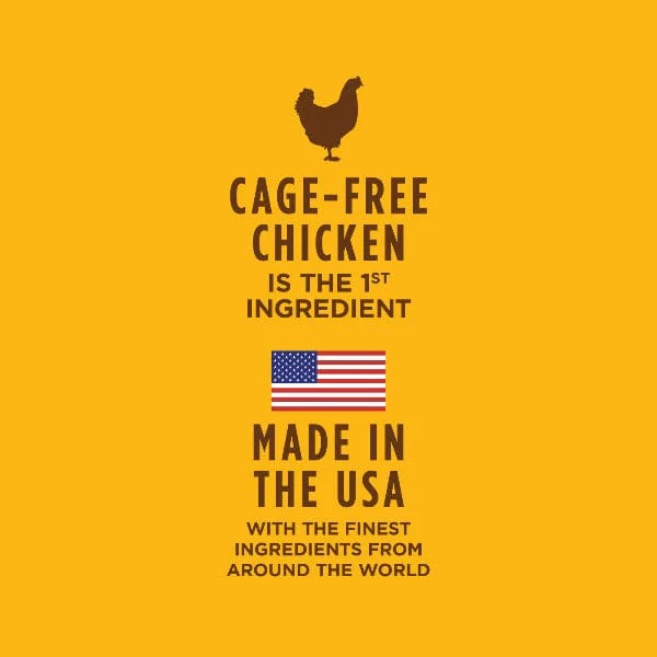 Instinct Healthy Cravings Real Chicken Recipe Dog Food Pouch - Image 4