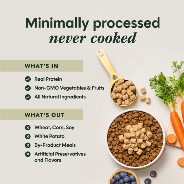 Instinct Raw Boost Mixers All Natural Beef Recipe Dog Food Topper, 6oz - Image 6