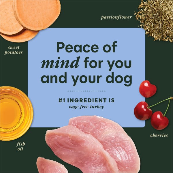 Instinct Raw Boost Mixers Tranquility Dog Food Topper, 5.5oz - Image 3