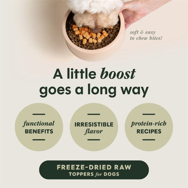 Instinct Raw Boost Mixers Gut Health Dog Food Topper - Image 4