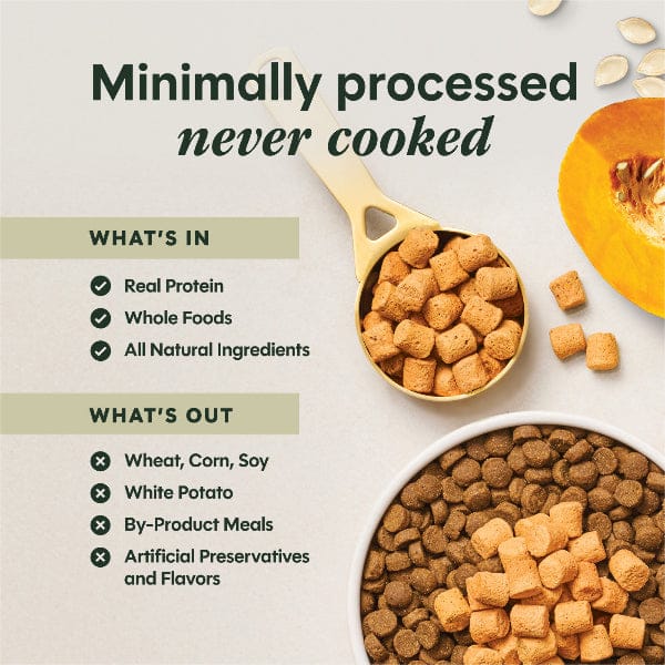 Instinct Raw Boost Mixers Gut Health Dog Food Topper - Image 6