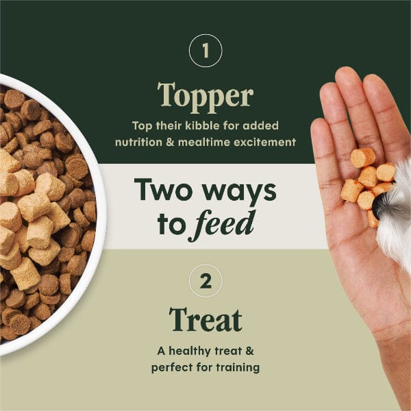 Instinct Raw Boost Mixers Gut Health Dog Food Topper - Image 7