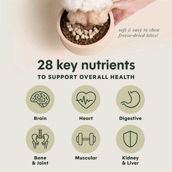 Instinct Raw Boost Mixers Multivitamin Dog Food Topper, 5.5oz - Image 4