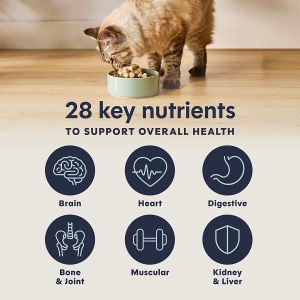 Instinct Raw Boost Mixers Multivitamin for Adult Cats Food Topper, 5.5oz - Image 4