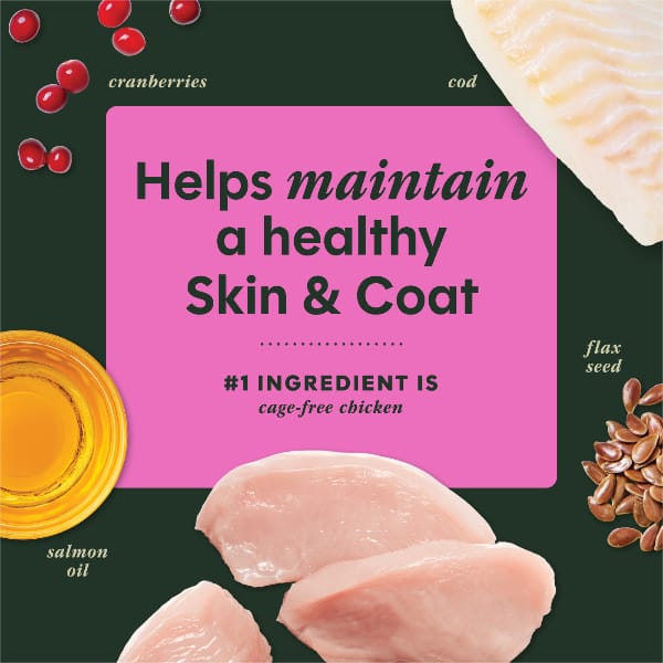 Instinct Raw Boost Mixers Skin & Coat Health Dog Food Topper - Image 3